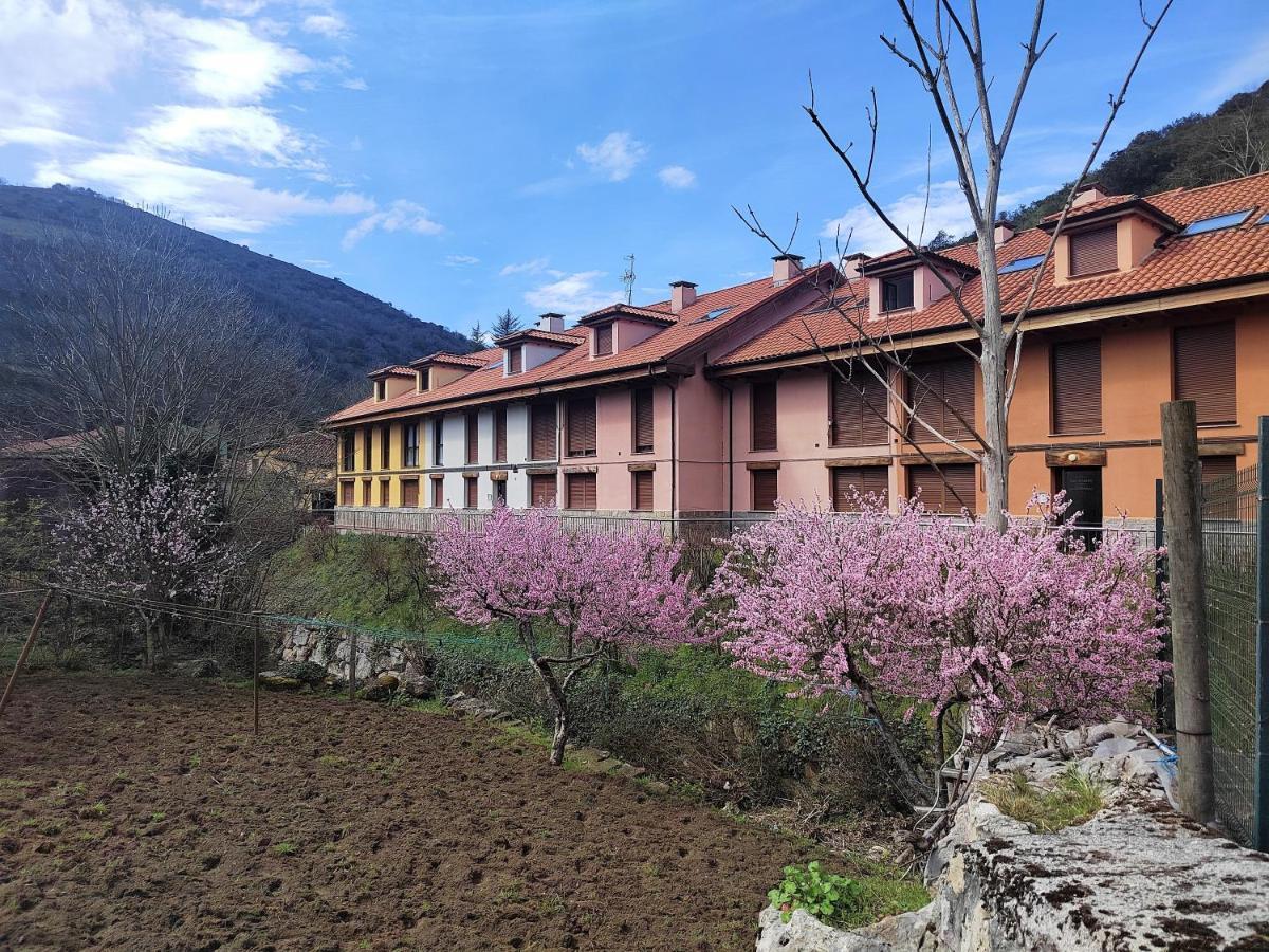 Apartamento Cabrales Sol Carreña Exterior foto